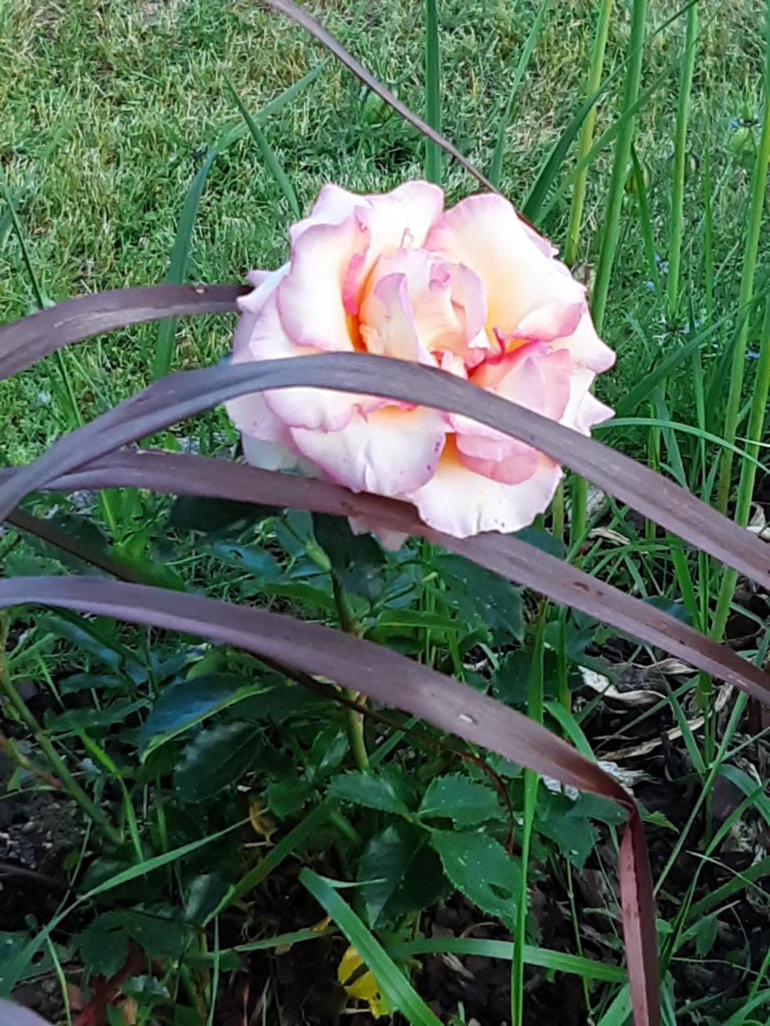 Aux Coeurs De Loire